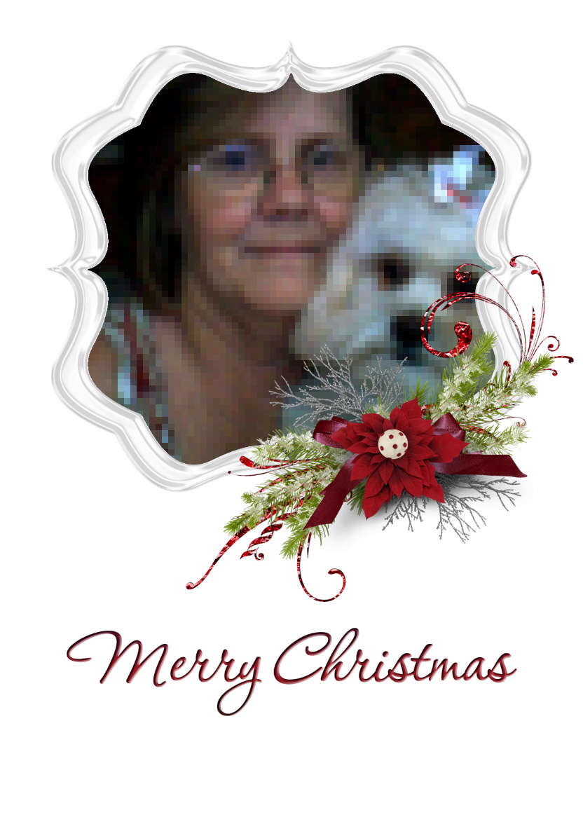 Frosted Poinsettia Frame - card made with Crafty Bob's Card Creator