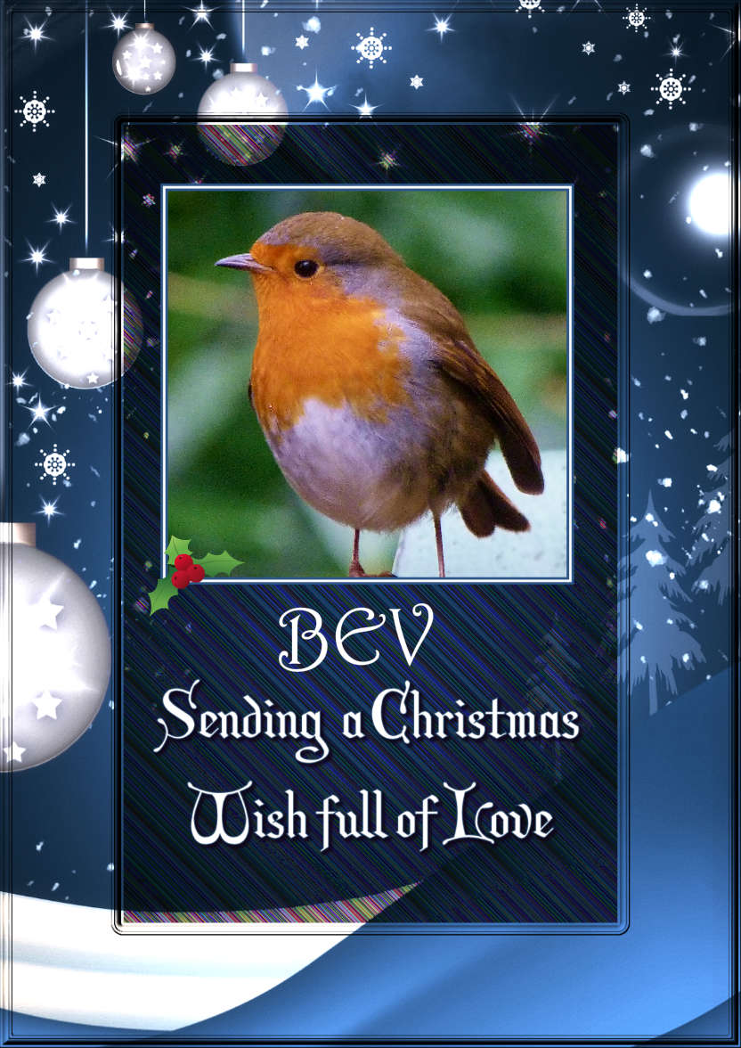 Sending a Christmas Wish Photo Card - card made with Crafty Bob's Card Creator