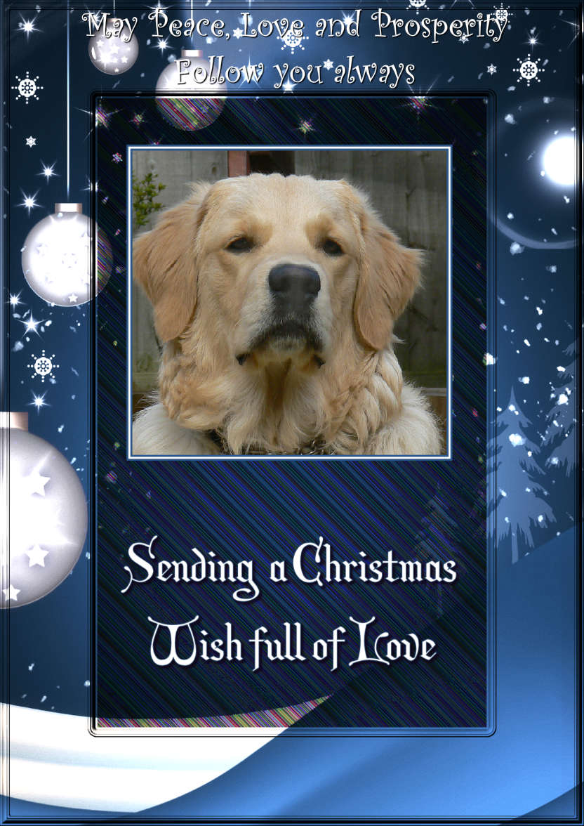 Sending a Christmas Wish Photo Card - card made with Crafty Bob's Card Creator