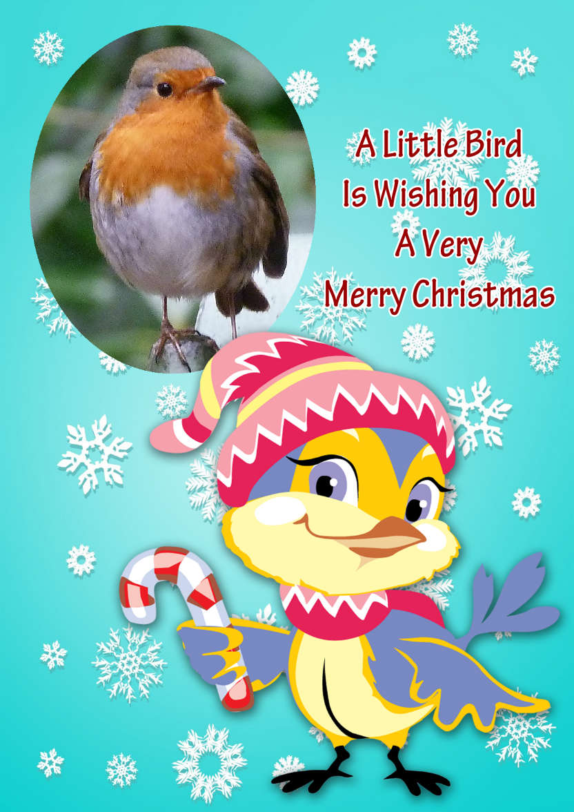 Little Christmas Bird - card made with Crafty Bob's Card Creator
