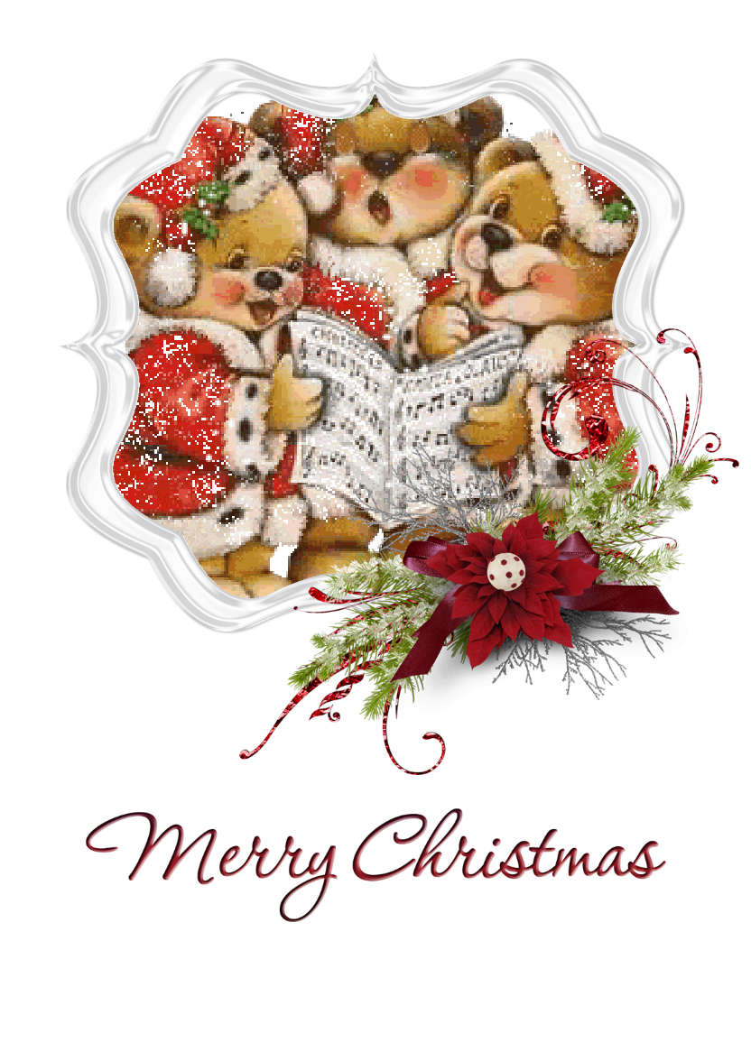 Frosted Poinsettia Frame - card made with Crafty Bob's Card Creator
