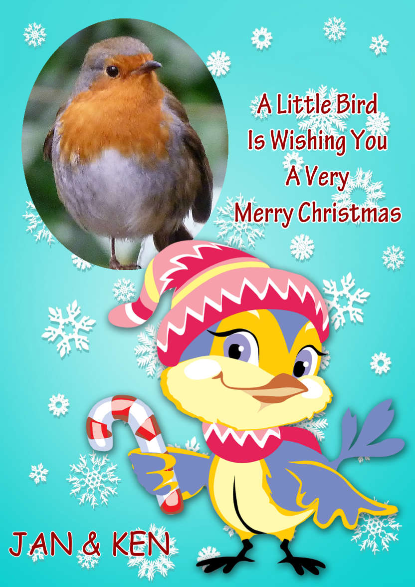 Little Christmas Bird - card made with Crafty Bob's Card Creator