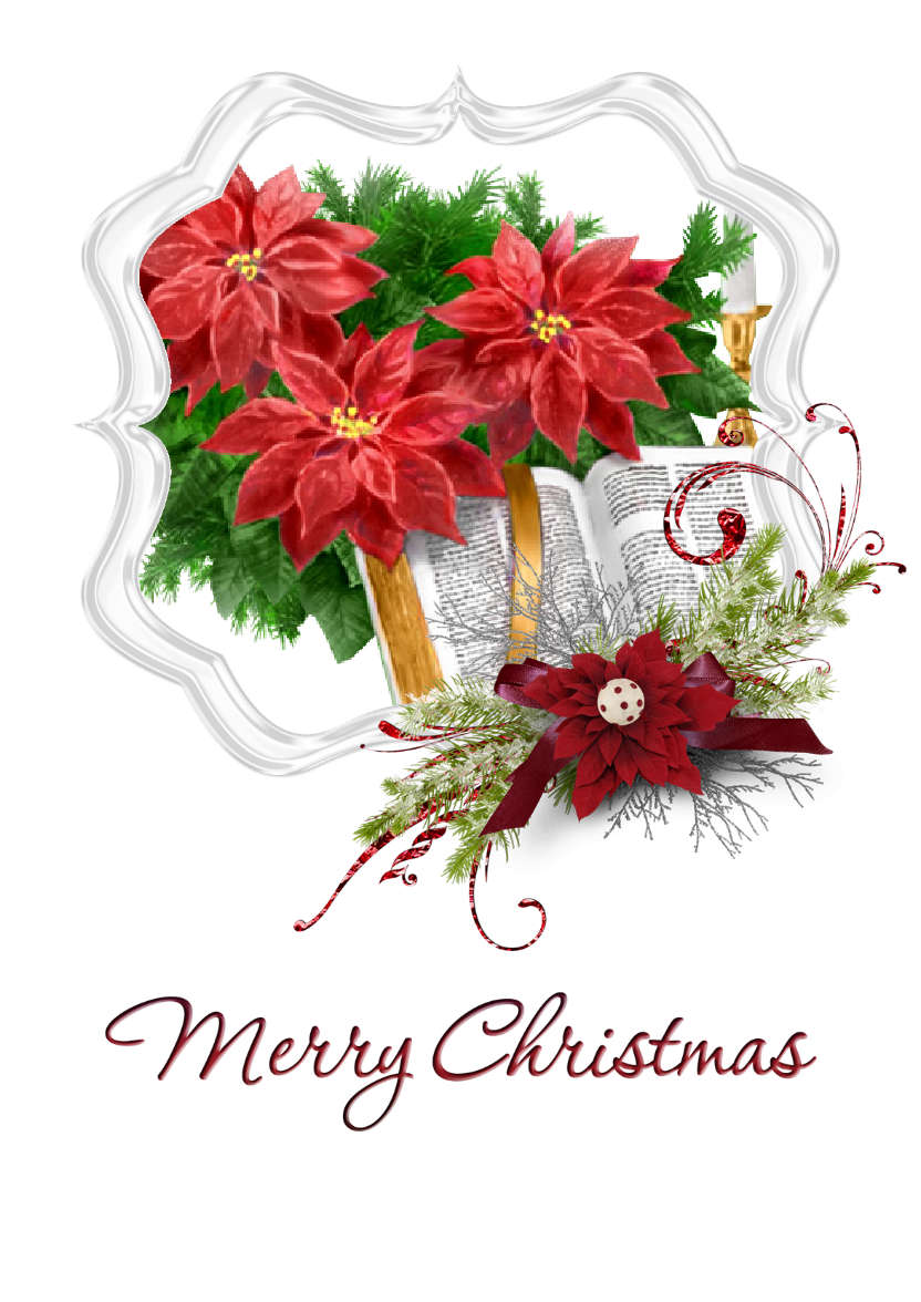 Frosted Poinsettia Frame - card made with Crafty Bob's Card Creator