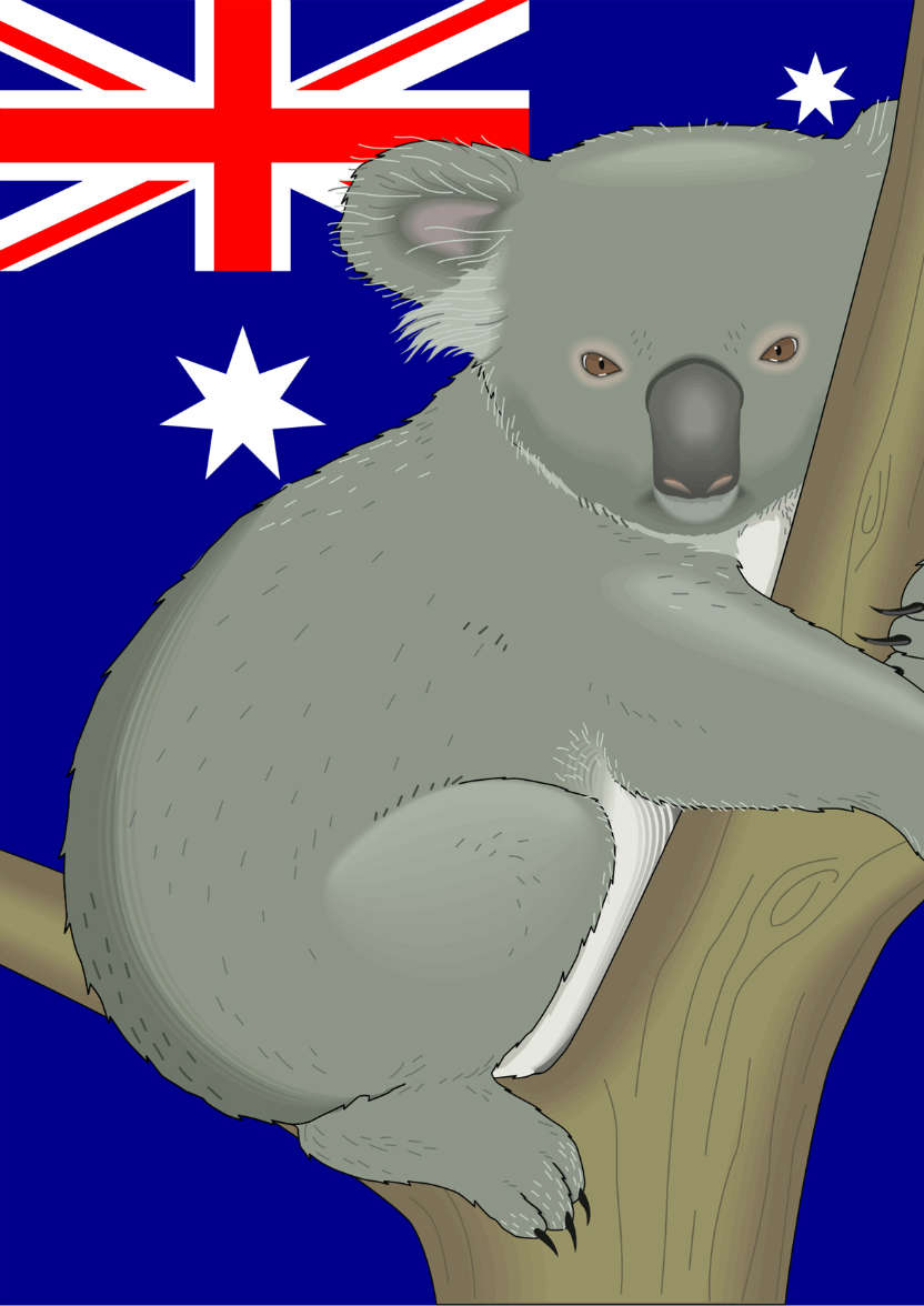 Koala Australia Day Card - card made with Crafty Bob's Card Creator