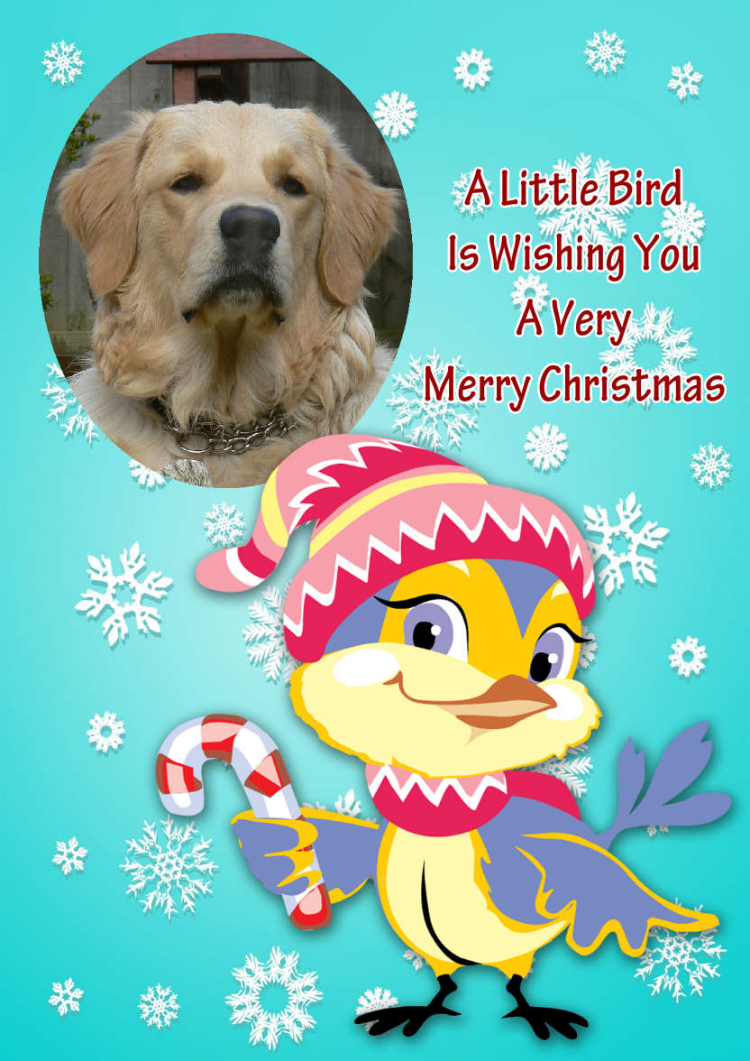 Little Christmas Bird - card made with Crafty Bob's Card Creator