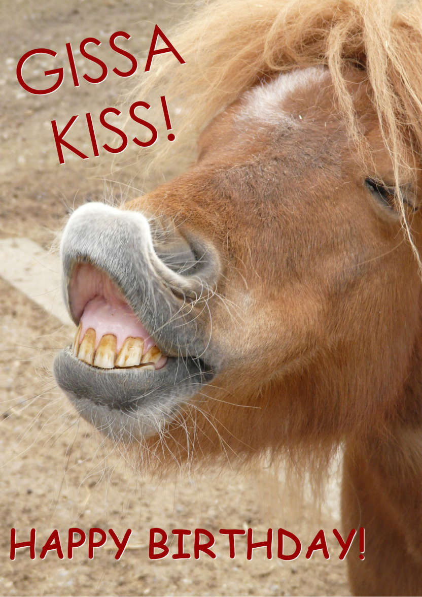 Horse Kiss Humorous Card Front - card made with Crafty Bob's Card Creator
