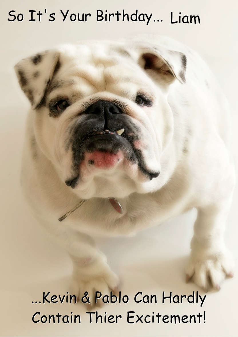 Excited Bulldog Card Front - card made with Crafty Bob's Card Creator