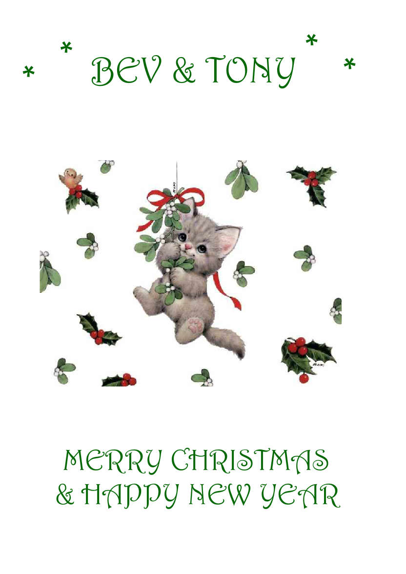White Plain Background - card made with Crafty Bob's Card Creator