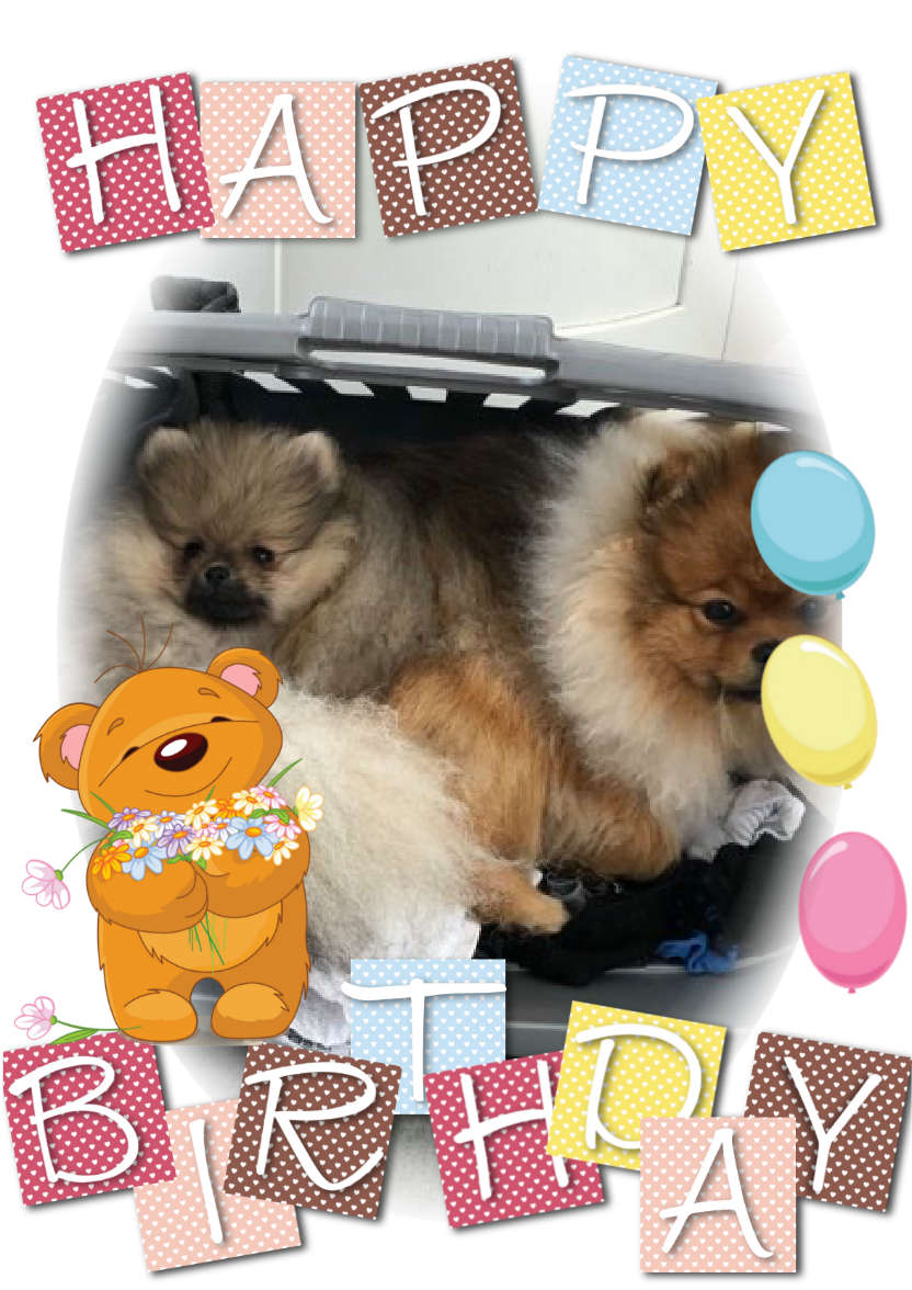 Bear Hugs - card made with Crafty Bob's Card Creator