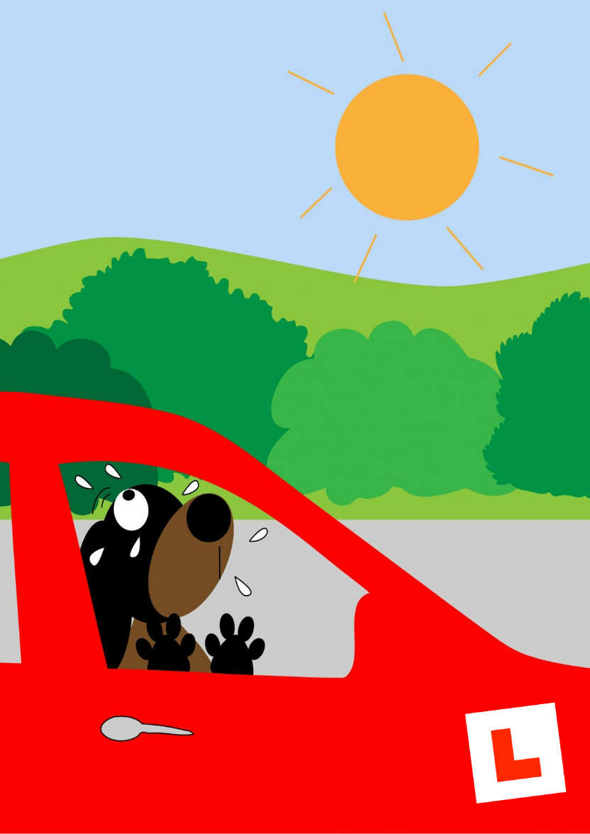 Good Luck Driving Test Card - card made with Crafty Bob's Card Creator