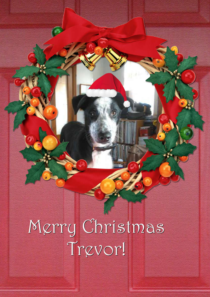Christmas Door Photo Card - card made with Crafty Bob's Card Creator