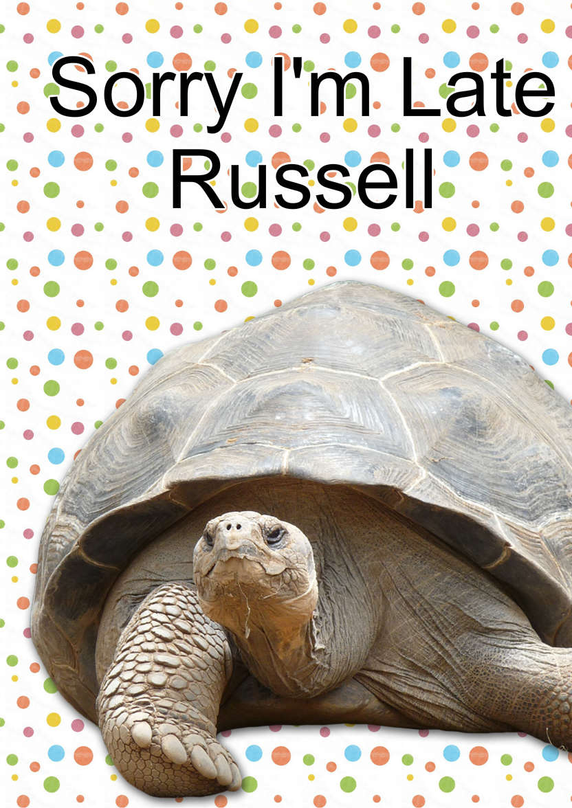 Sorry I'm Late Tortoise Card - card made with Crafty Bob's Card Creator