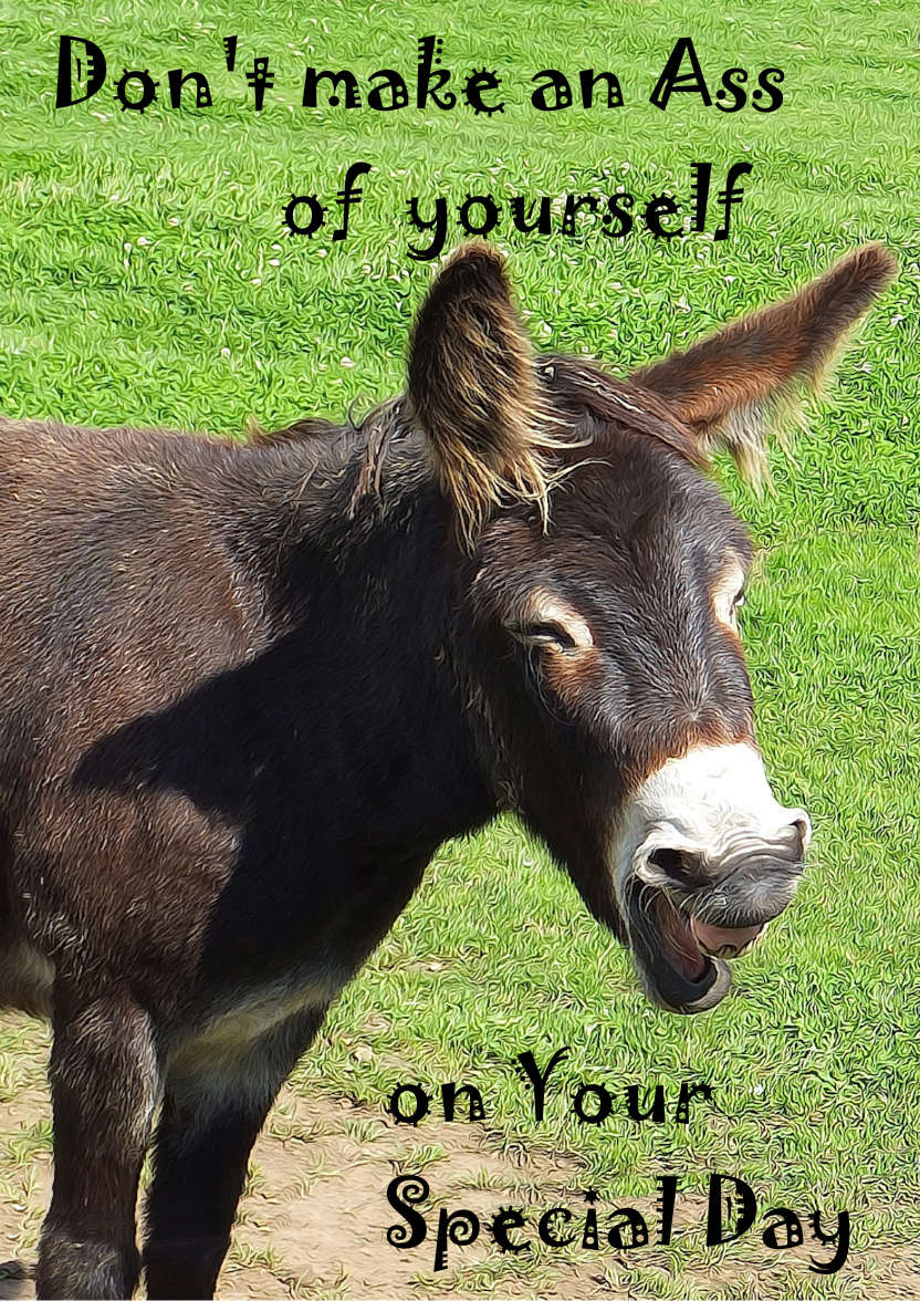 Donkey Laughing Humour Card - card made with Crafty Bob's Card Creator