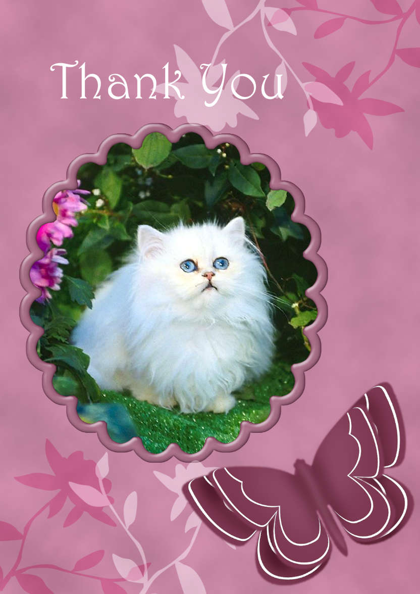 Thank You - Butterfly and Flowers - card made with Crafty Bob's Card Creator