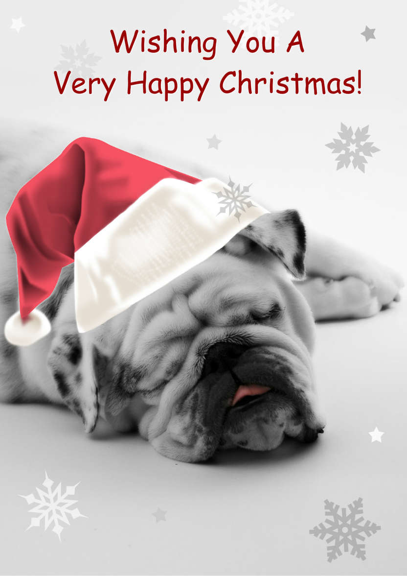 Sleeping Bulldog Christmas Card - card made with Crafty Bob's Card Creator