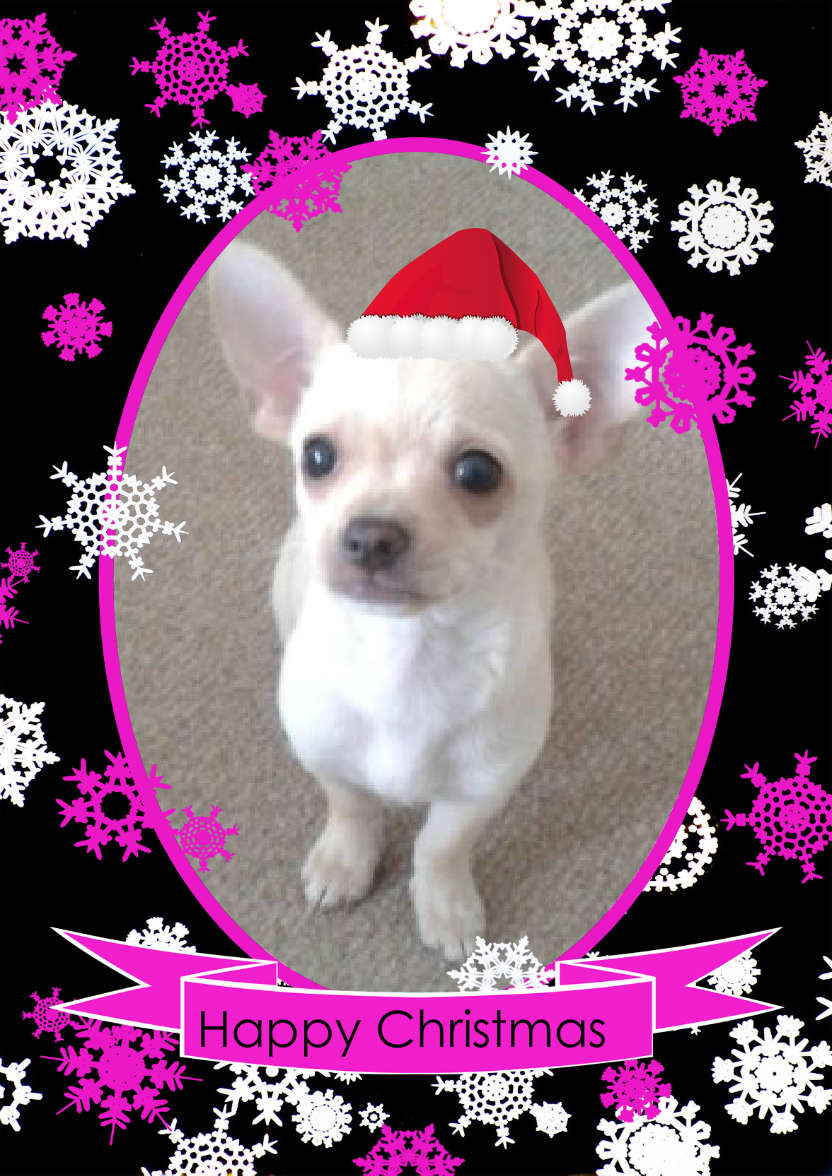Black, White and Pink Snowflake Frame - card made with Crafty Bob's Card Creator