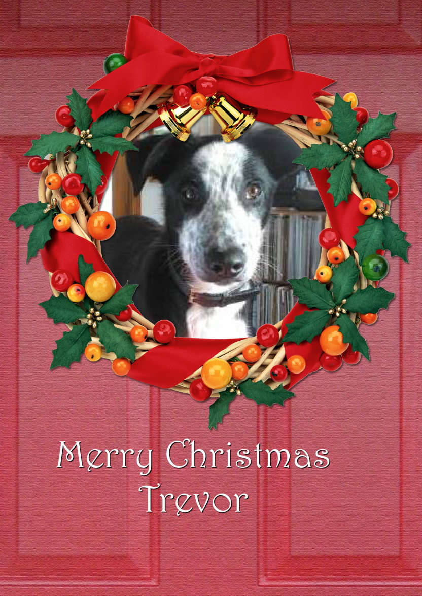 Christmas Door Photo Card - card made with Crafty Bob's Card Creator