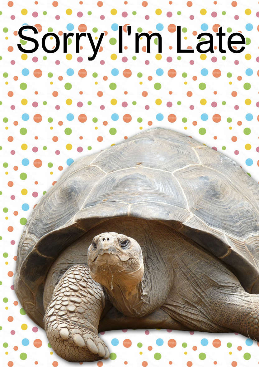 Sorry I'm Late Tortoise Card - card made with Crafty Bob's Card Creator