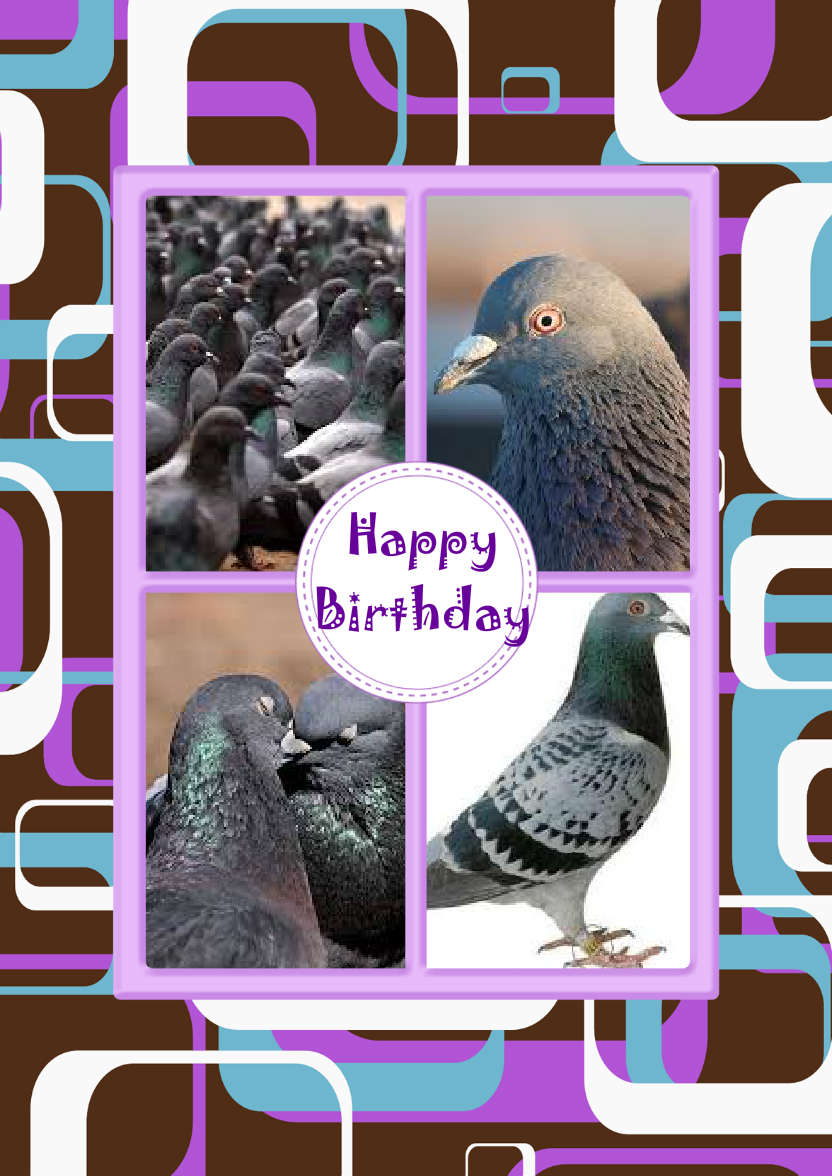 Retro Squares Multi Photo Card - card made with Crafty Bob's Card Creator