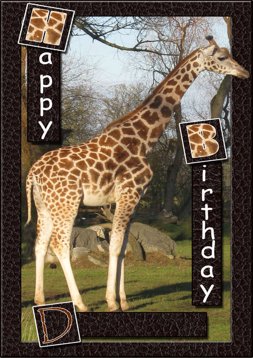Birthday Giraffe - card made with Crafty Bob's Card Creator
