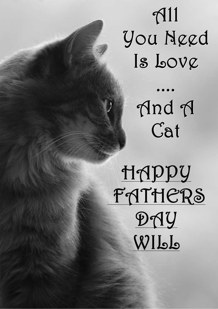 Cat Profile Card - card made with Crafty Bob's Card Creator