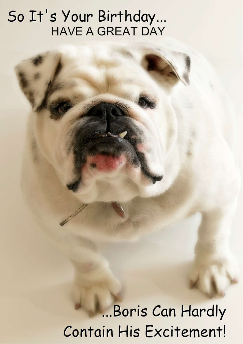 Excited Bulldog Card Front - card made with Crafty Bob's Card Creator