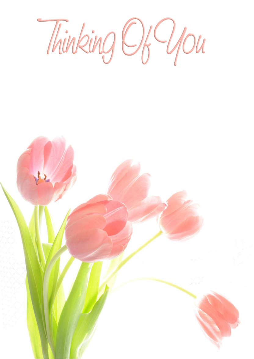 Thinking of You Tulips - card made with Crafty Bob's Card Creator