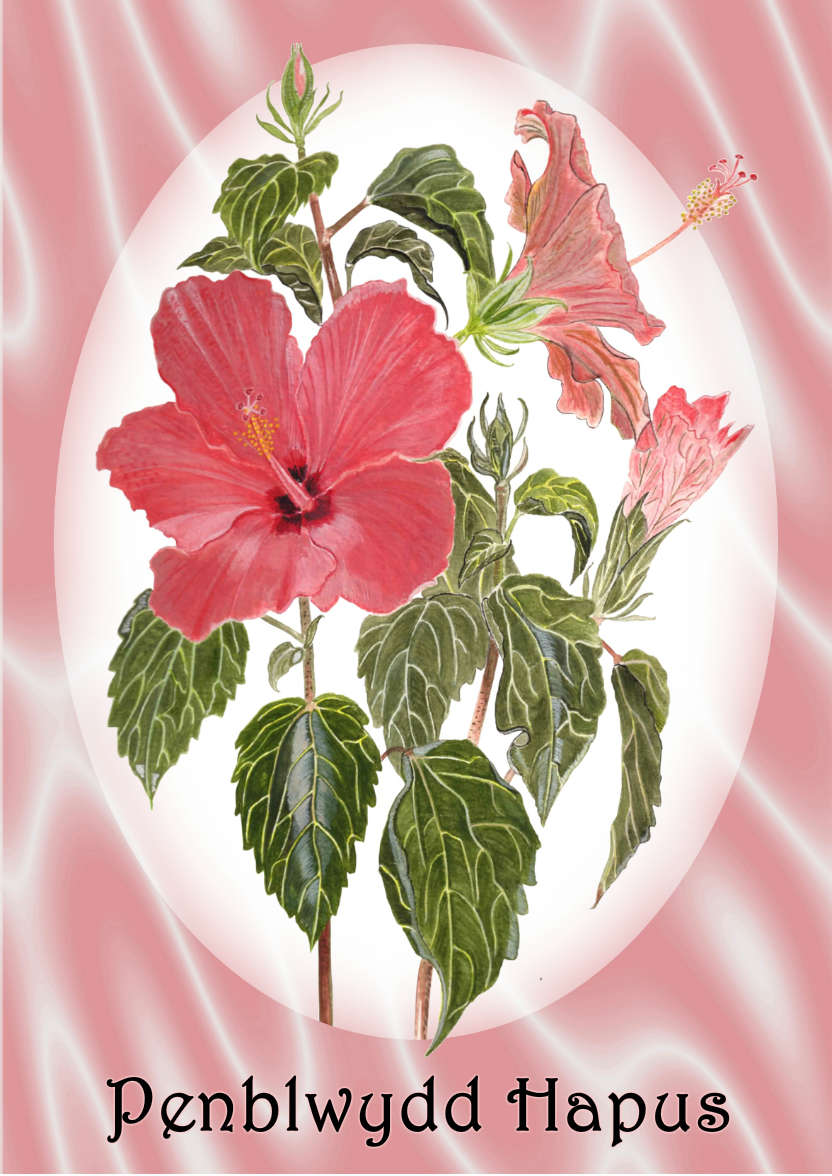 Pink Hibiscus and Satin - card made with Crafty Bob's Card Creator
