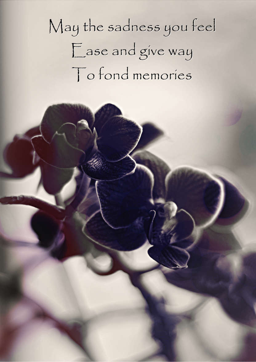Black and White Orchid - card made with Crafty Bob's Card Creator