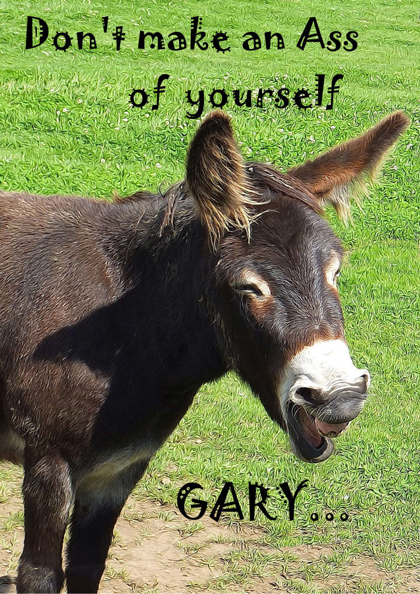 Donkey Laughing Humour Card - card made with Crafty Bob's Card Creator