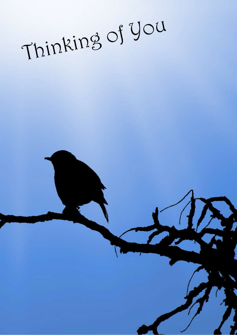 Silhouette Bird on a Branch - card made with Crafty Bob's Card Creator