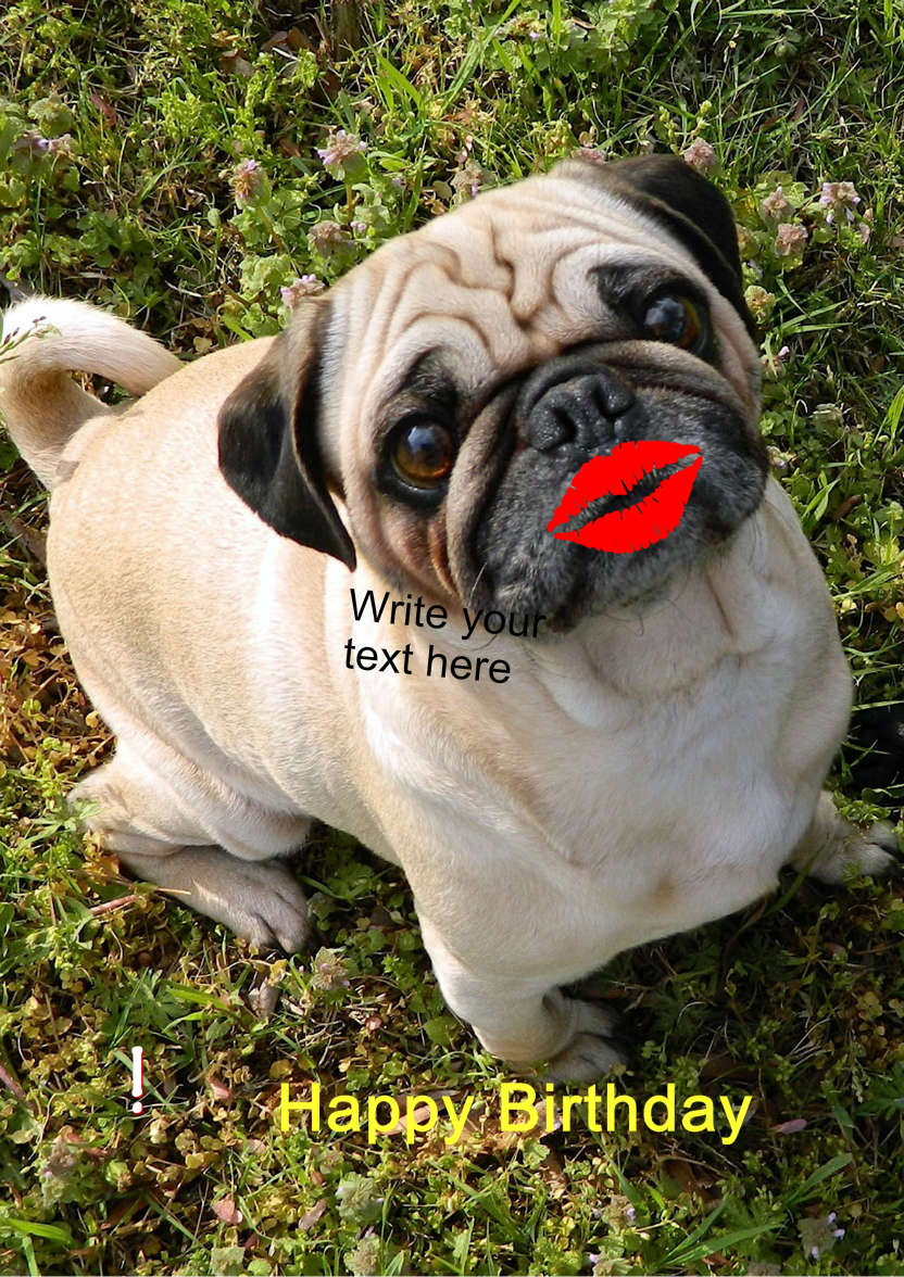 Pugs and Kisses Cute Card Front - card made with Crafty Bob's Card Creator