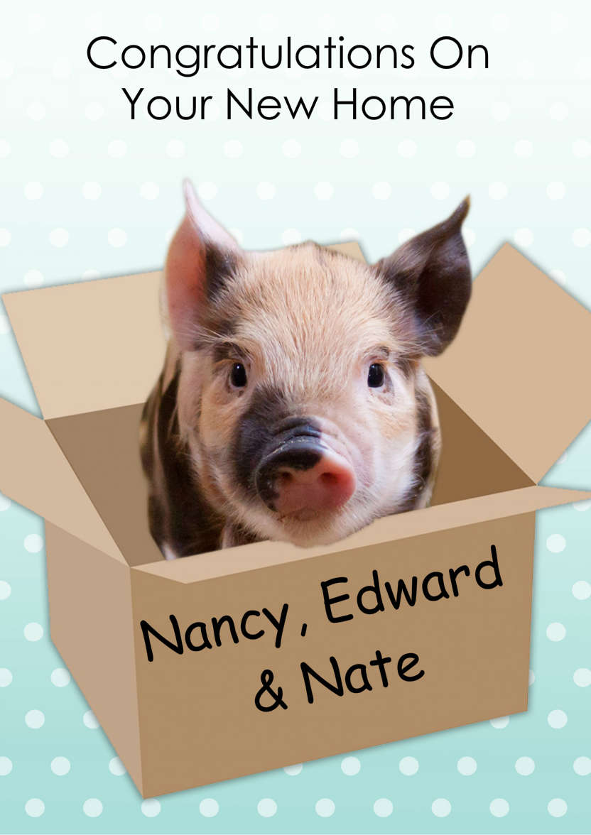 Cute Pig New Home Card - card made with Crafty Bob's Card Creator