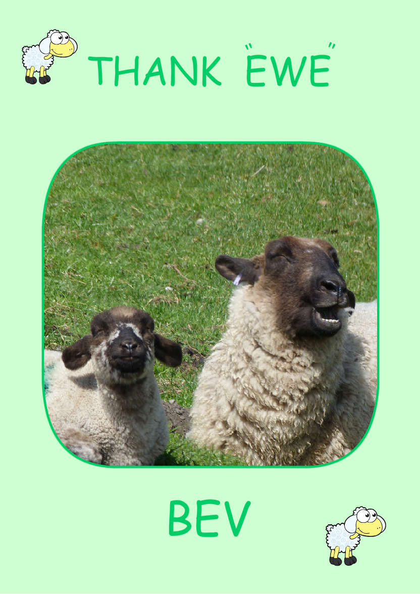 Light Green Plain Background - card made with Crafty Bob's Card Creator