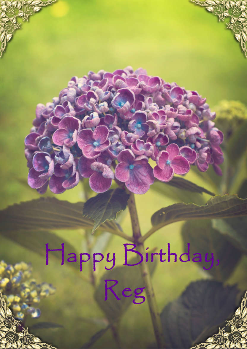 Lilac Hydrangea - card made with Crafty Bob's Card Creator