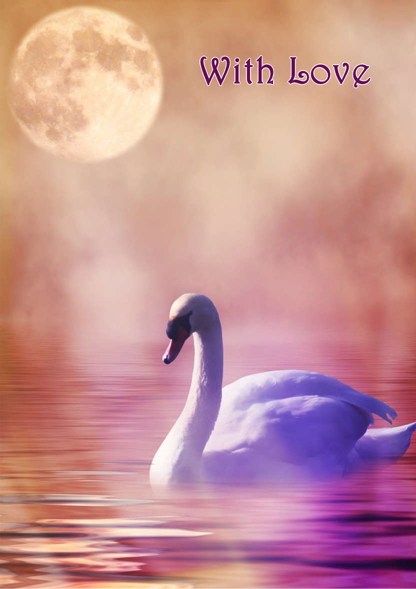 Stunning Swan Card - card made with Crafty Bob's Card Creator