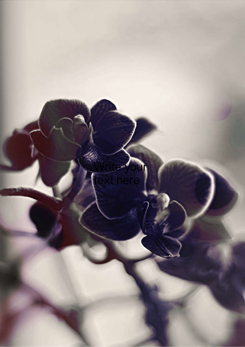 Black and White Orchid - card made with Crafty Bob's Card Creator