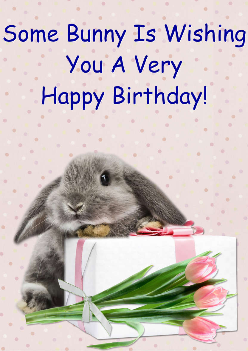 Some Bunny Birthday - card made with Crafty Bob's Card Creator