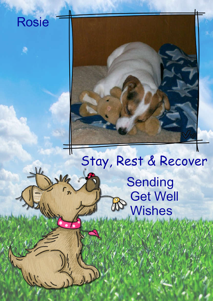 Bella's Flower - card made with Crafty Bob's Card Creator