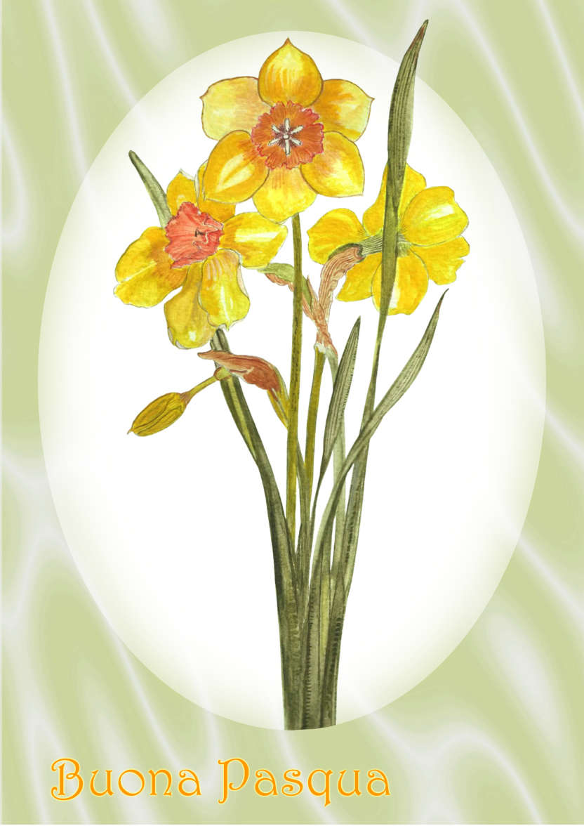 Bright Yellow Daffodil and Green Satin - card made with Crafty Bob's Card Creator