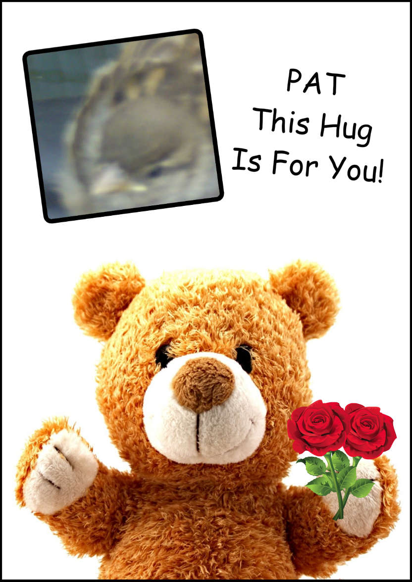 Bear Hug Aperture Card - card made with Crafty Bob's Card Creator