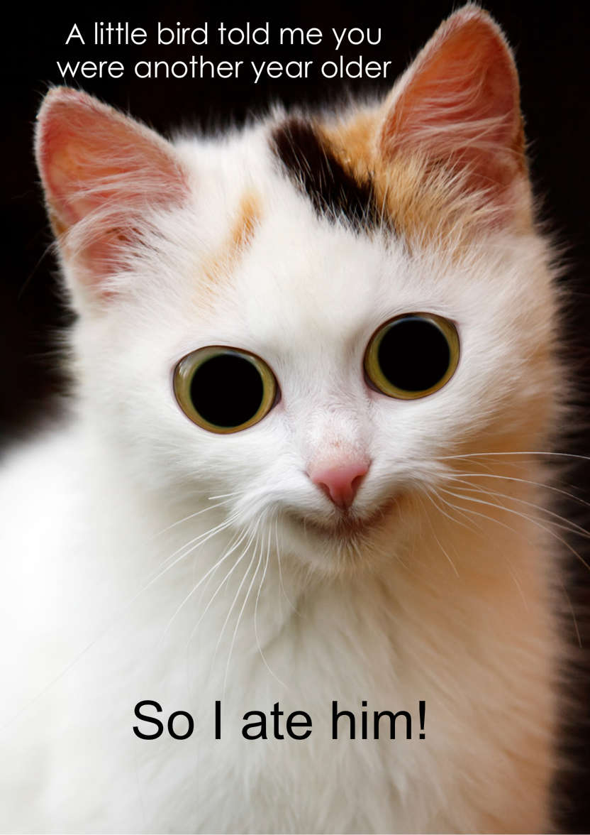 Mischievous Cat Humorous Card Front - card made with Crafty Bob's Card Creator