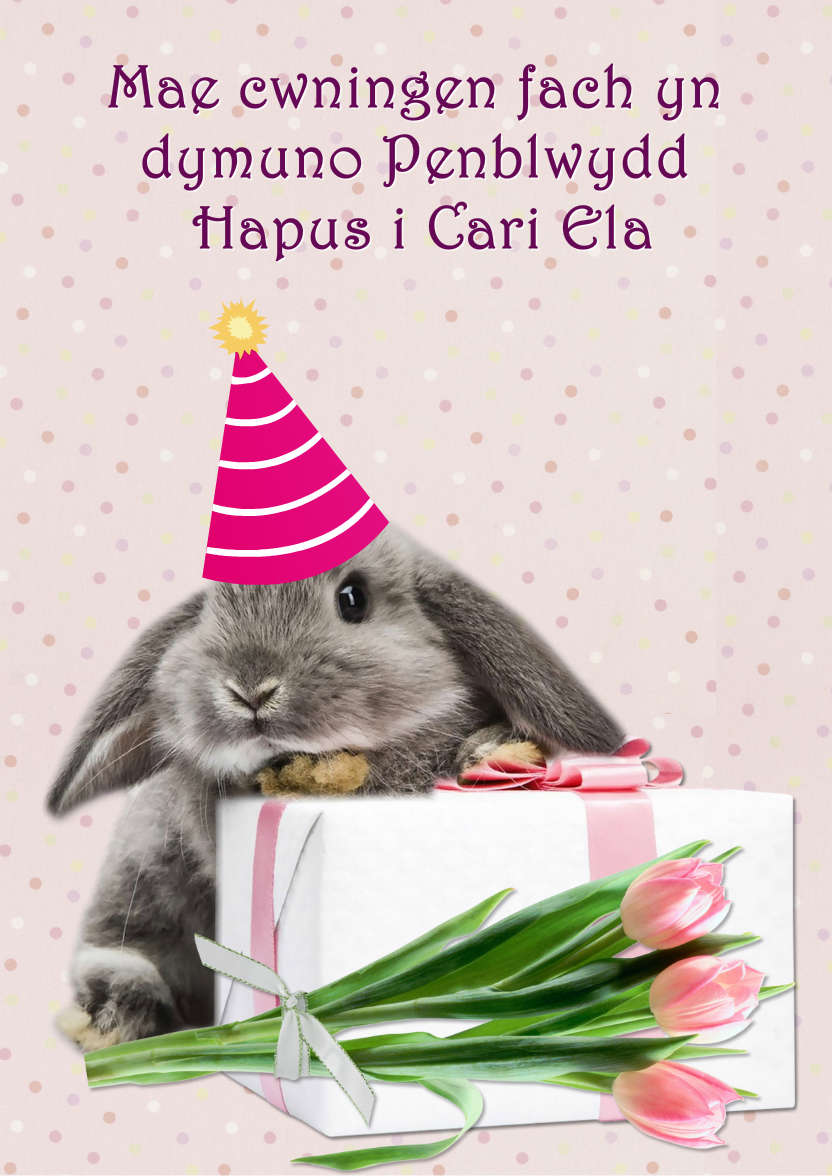 Some Bunny Birthday - card made with Crafty Bob's Card Creator