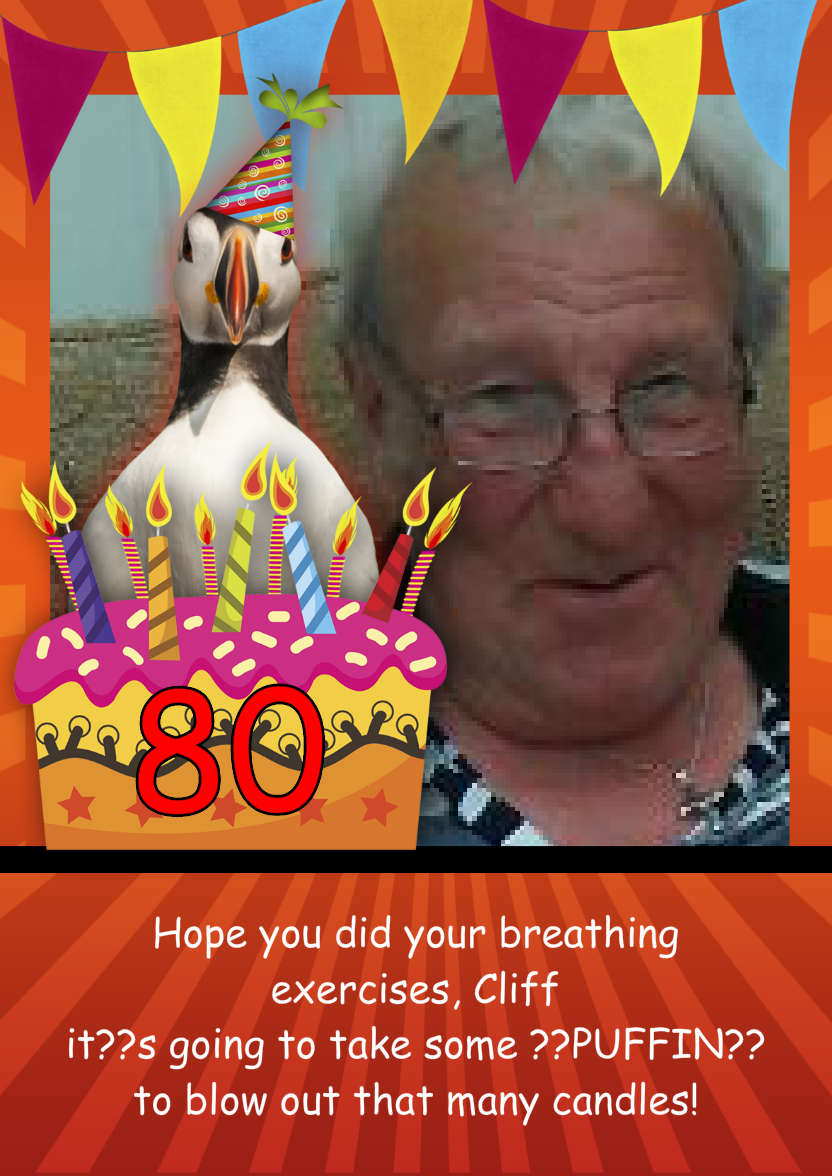 Humorous Fun Birthday Age Puffin Photo Card - card made with Crafty Bob's Card Creator