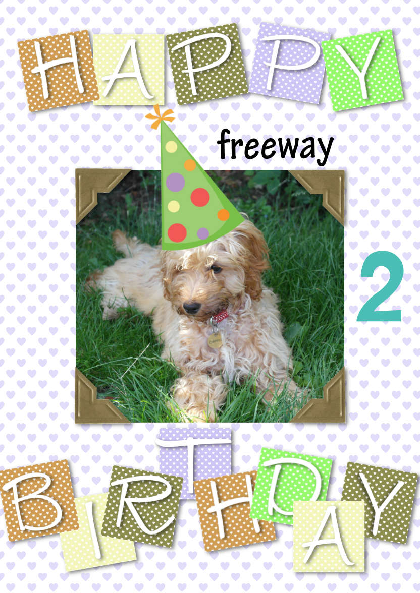 Cute Birthday - card made with Crafty Bob's Card Creator