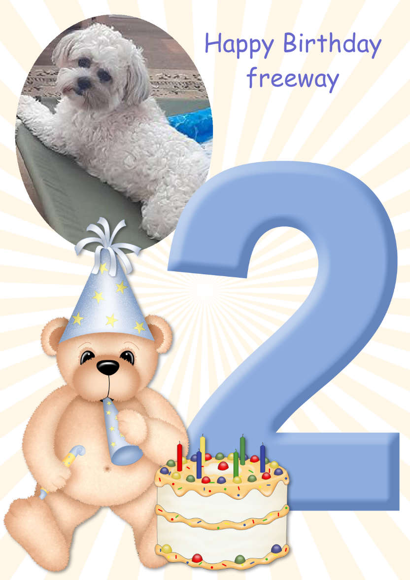 Birthday Bear Age 2 Card Boy - card made with Crafty Bob's Card Creator