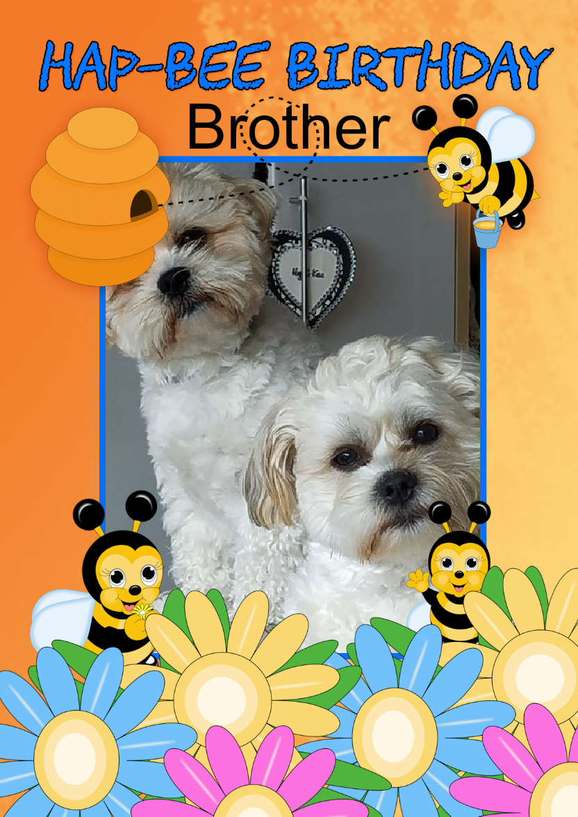 Bee Birthday Card Your Photo Here - card made with Crafty Bob's Card Creator