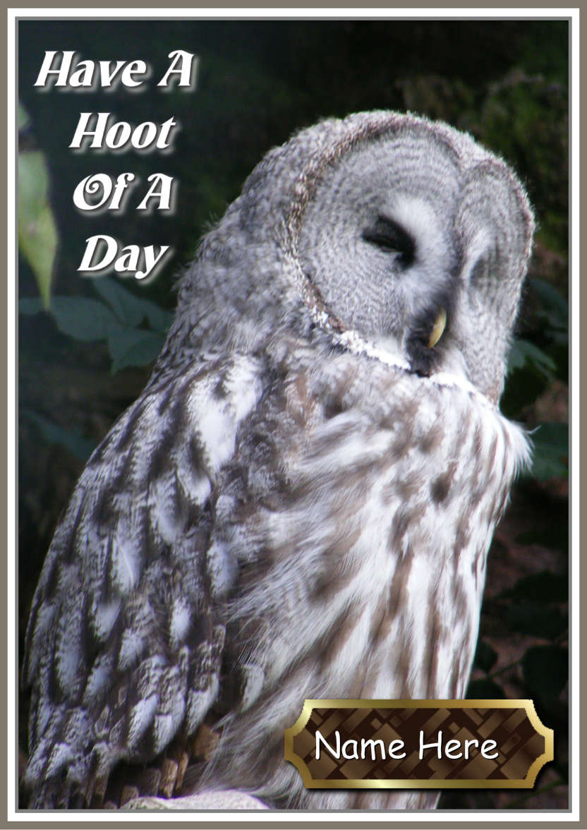 Have a Hoot of a Day - card made with Crafty Bob's Card Creator