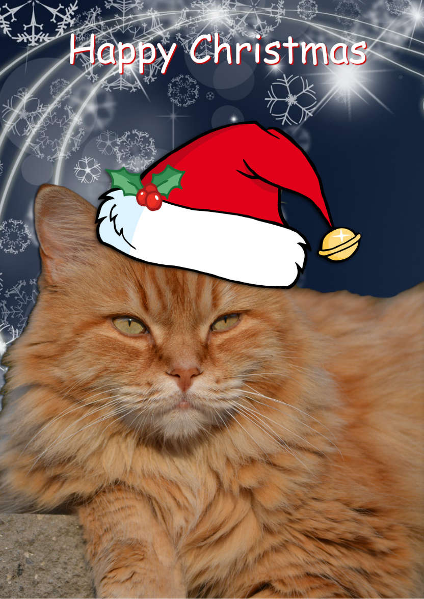 Christmas Cat - card made with Crafty Bob's Card Creator