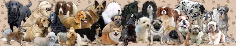Liz Harrison Scottie Dog Crafts